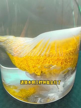 酒米打窝水溶袋,打窝精准聚鱼更集中 #打窝技巧 #打窝水溶袋 #打窝器