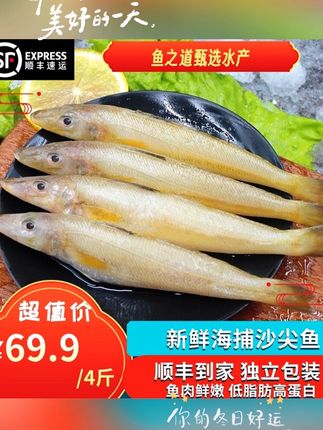 顺丰真空包装4斤野生深海沙尖沙丁沙钻梭子鱼鲜嫩低脂高蛋白美味