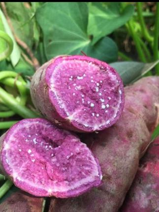 #上热门 坏果包赔新鲜现挖紫薯紫罗兰红薯粉糯香甜#紫薯
