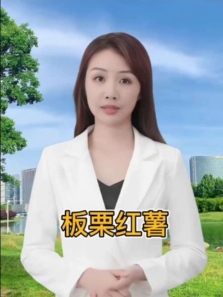 陕西正宗沙地种植的板栗红薯!!粉糯清甜!无茎无丝!大人小孩都爱吃#板栗红薯 #好吃到停不下来 #超便宜超划算 #陕西板栗红薯