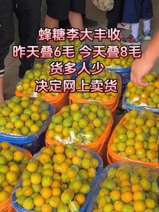 #蜂糖李 #新鲜采摘 #快来一起尝个鲜 #强烈推荐 #卖水果我们很认真的👍