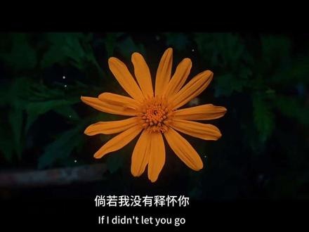 倘若我没有释怀#摄影 #拍出电影感 剪辑教程@小橙子🍊🍊