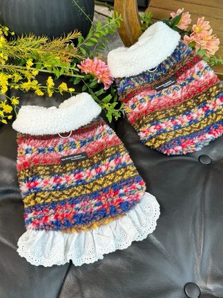 五只小白熊原创宠物衣服秋冬新款加厚学院风开衫马甲狗狗猫咪裙子#萌宠#萌宠日常记录 #萌宠好物 #宠物用品#宠物衣服