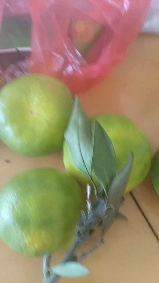 非常不好吃。没有坏果#我在抖音买买买
