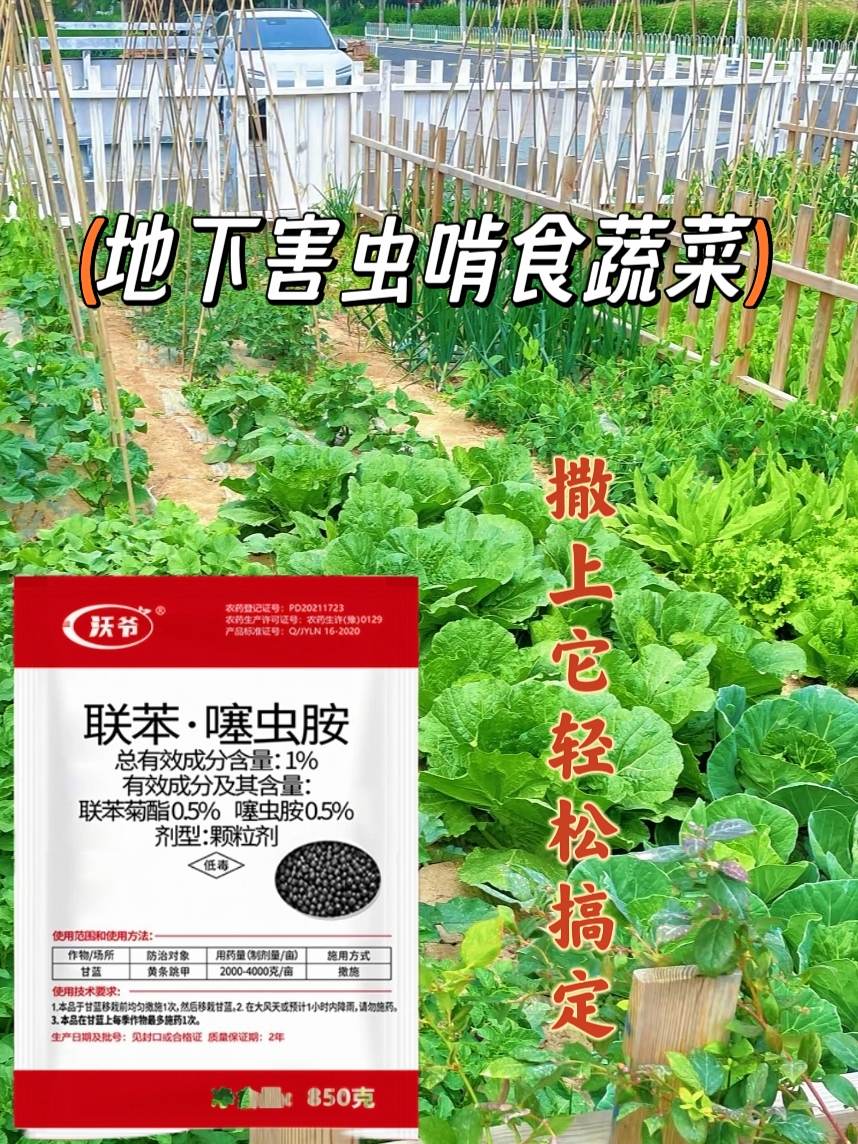 一方菜园,满目青翠,地下害虫却悄然侵袭。🌿 撒上这神奇颗粒,守护自然馈赠,收获安心美味。🥬 #生活小技巧 #冷知识科普#联苯晒虫胺#三农