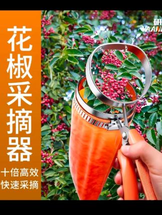 #花椒采摘器不扎手效率高#新鲜采摘方便实用 #实用工具 #乡村田园生活 花椒采摘器推荐@抖音好物