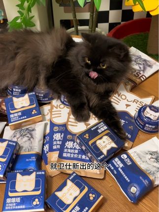 这大活动,真的太像样了#卫仕 #卫仕爆爆袋 #卫仕猫粮 #猫粮 #新手养猫
