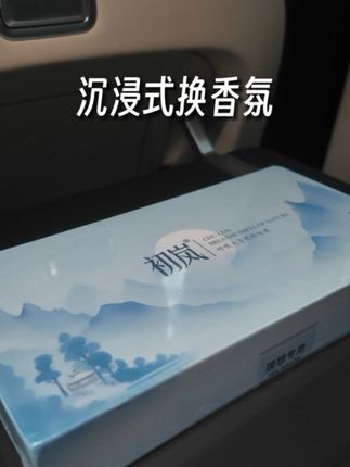 沉浸式给理想L9换香氛#理想汽车#理想L9 #理想MEGA#好物推荐🔥 #初岚香薰替换芯