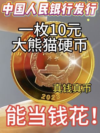 大熊猫纪念币 #纪念币#收藏##钱币#硬币@抖音小助手 @抖音创作小助手