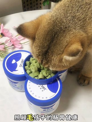 猫咪狗狗都爱吃的冻干洁齿粒,早上吃两粒,晚上吃凉粒,猫咪嘴巴没有螺蛳粉味了,适口性好,刷到宝子别错过#科学养宠攻略 #唯特医冻干#萌宠好物 #冻干#好物推荐🔥