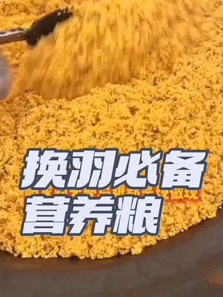 幼鸟营养粮无壳鸟粮 #全国发货欢迎合作 #玉鸟丝雀鹦鹉文鸟