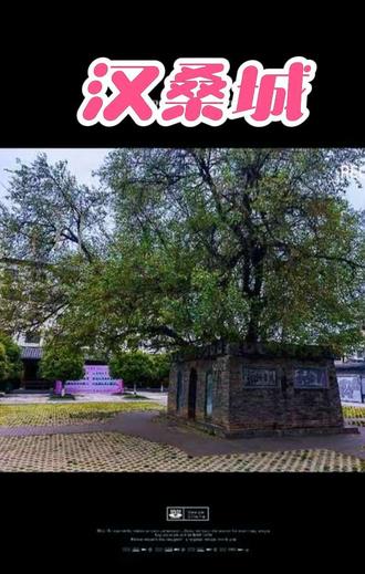 我自驾游览了被誉为世界第一小城——河南省新野县的汉桑城。汉桑城内只有一颗桑树。这小城修得小巧玲珑,七弯八叉桑树枝深出城外,远远望去,犹如一个古秀的盆景。这棵树很独特,距今1800余年,虽主干已枯然根生幼桑,历代不衰,仍枝繁叶茂。相传东汉末年,刘备、关羽、张飞驻军新野,关羽的坐骑赤兔马啃坏了百姓张老汉家的桑树,诸葛亮为整饬军纪,令关羽赔偿,关羽亲手栽种新桑,并率官兵筑砖城保护桑树,以此谢罪,故名汉桑城,也因此形成城包树的“奇观”。来到景区,走近小城,在遮天蔽日的树下,仿佛看到刘备、关羽、张飞和诸葛亮在大树下商讨国家大事的情景;漫步到火烧新野遗址,诸葛亮智谋纵火烧城,大败曹军的场景浮现在脑海中………朋友,要了解三国的历史文化,就到此一游吧!