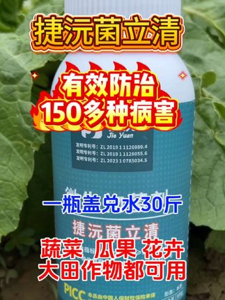 捷沅菌立清#强力推荐# 微生物菌剂#今日三农爆款 #农业种植 #三农 @DOU+小助手 @抖音创作小助手
