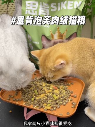 多猫家庭可以试试这款泡芙全价肉绒猫粮,一袋五斤价格也不贵!#新手养宠 #萌宠好物 #思肯泡芙肉绒猫粮 #猫粮