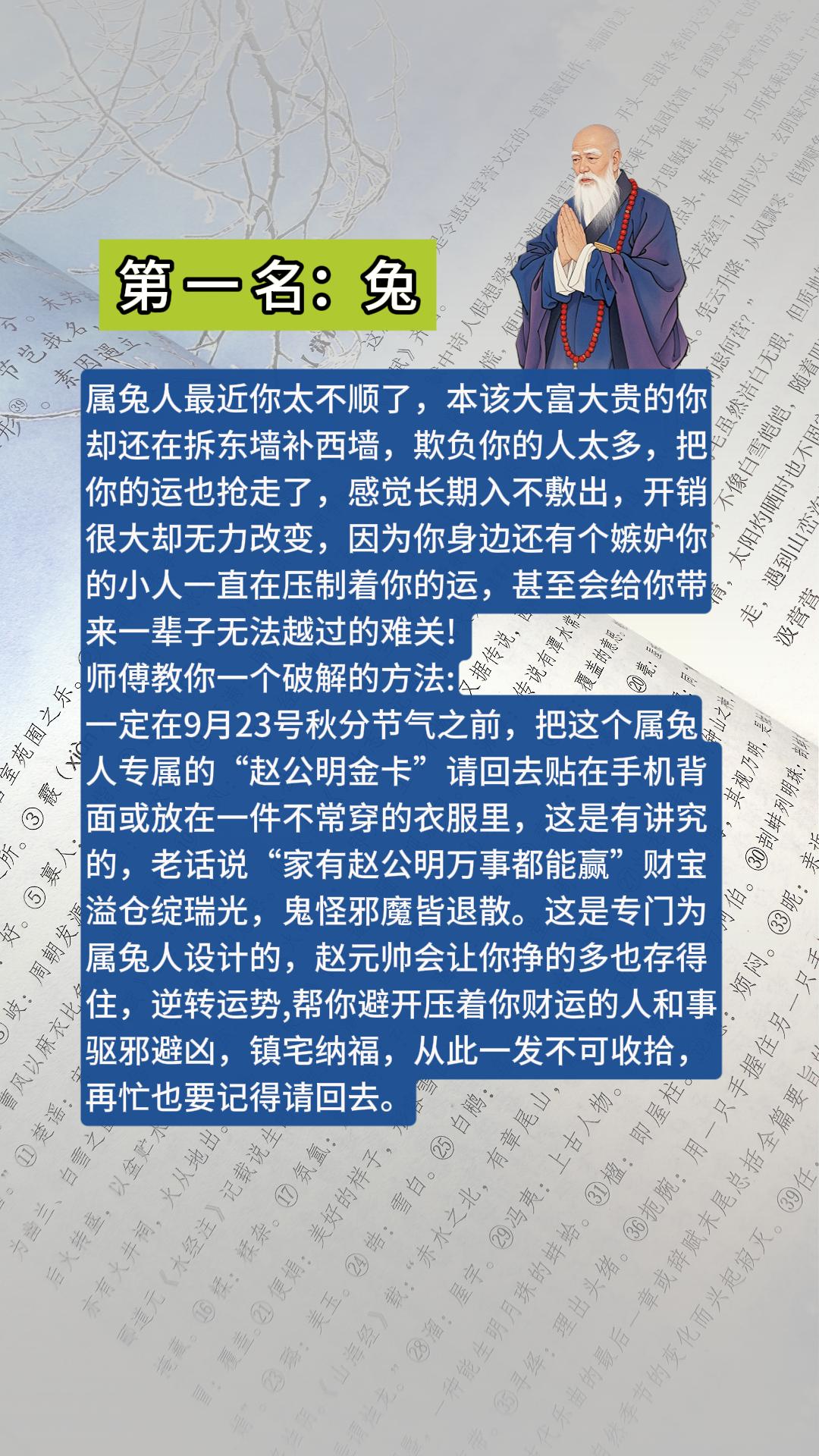 #兔