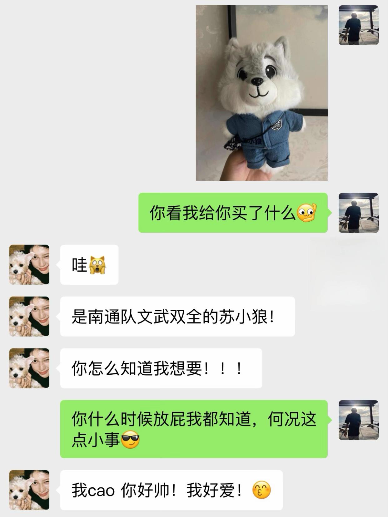 你要是送我花我能开心一整天,但你要是送我南通小队苏小狼我能开心一整年🥳#苏小狼 #南通队 #苏超 #南通V苏州