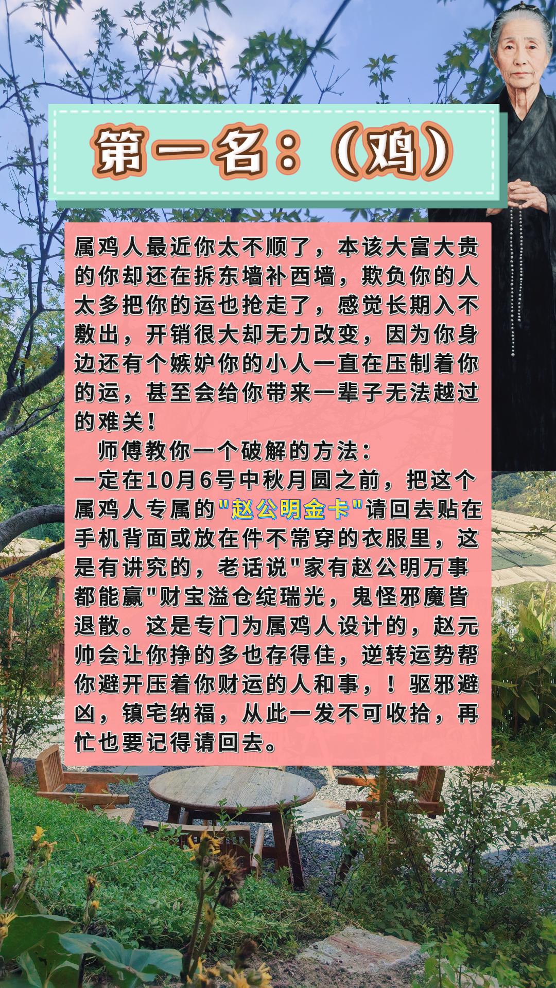 #鸡 #属鸡 #生肖鸡