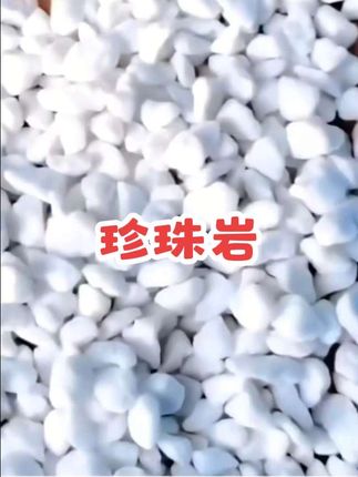 #珍珠岩颗粒 #花卉绿植 #兰花种植 #土壤改良