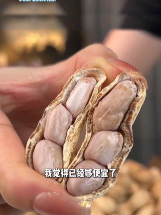 正宗福建龙岩水煮日晒花生,当季的新花生,好吃也不上火!这价到手足足一斤装是真的好划算!#水煮日晒花生 #优质农产品 #超便宜超划算 #追剧小零食 #正宗龙岩花生