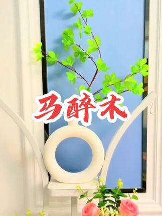 家里放上这样一盆仿真花,瞬间变得温馨又浪漫,它是陶瓷素胚,马醉木的造型非常好看,而且还是网红爆款,放在客厅里特别有格调,朋友来了都会夸赞一番,关键是它不需要阳光,也不需要浇水,打理起来非常简单,有了它,家里的氛围感直接拉满,喜欢的朋友赶紧入手吧!