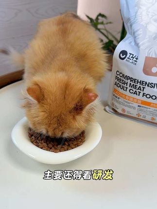 卫仕关键营养LA20猫粮,也出活动装啦,养猫人赶紧试下#养猫新手 #养猫人 #卫仕 #卫仕关键营养LA20