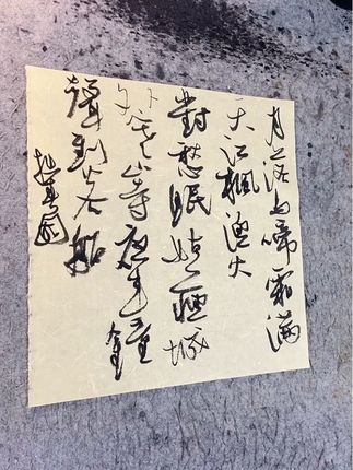 《枫桥夜泊》“月落乌啼霜满天”#书法