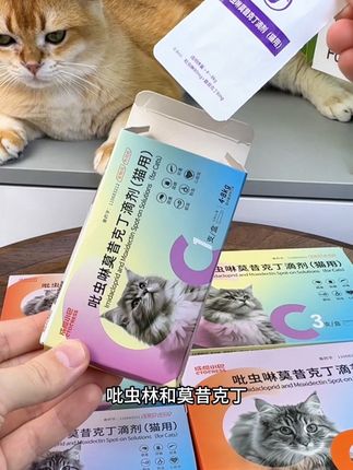 养猫一定要定期做好驱虫,就选这款内外同驱! #驱虫  #成橙小巴 #猫咪驱虫  #新手养猫