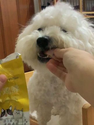 高温蒸煮的酥骨鸡脖,一捏就碎,不伤小猫小狗肠胃!#比熊 #萌宠 #萌宠日常记录