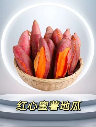 山东烟薯现挖沙地红薯地瓜软糯蜜薯#蜜薯#烟薯#山东烟薯#红薯#地瓜