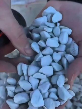 秒和珍珠岩多肉园艺颗粒膨胀兰花植料盆栽多肉种植保温养花花土#珍珠岩 #多肉土颗粒 #园艺颗粒 #多肉植物养护#好物推荐