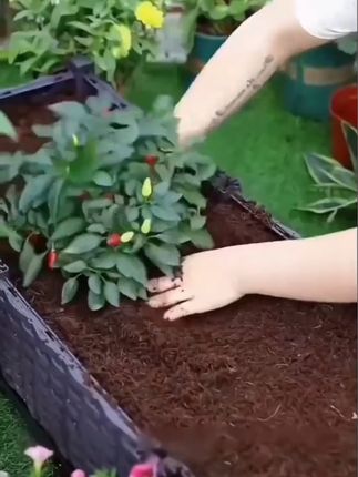 #营养土#营养土装袋机 #种植营养土