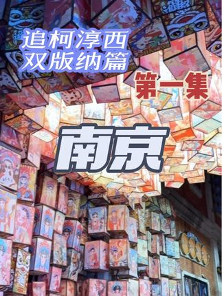 追柯淳西双版纳篇第一集,中转南京,夜游秦淮夫子庙 #柯淳#南京#金陵#秦淮人家#一种很新的vlog