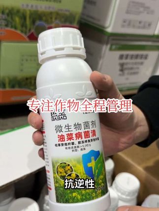油菜病菌清#病虫害防治 #杀虫剂 #三农种植 #农药化肥 #增产增收才是硬道理