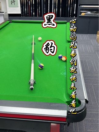 黑豹,13mm大头杆,进口枫木前肢,打感舒适加塞性能稳定,一起来试试吧#台球好物 #台球台球 #台球是一种生活 #台球器材