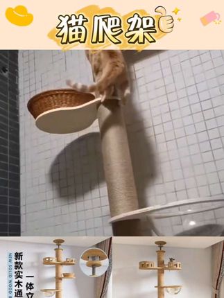 #好物 【专利设计】咪乐欣猫爬架通天柱两米猫窝猫树一体猫咪用品爬梯实木 #好物推荐#好物分享#好物优选#好物