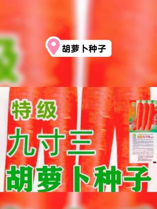 #农业种植#胡萝卜种子 #一分耕耘一分收获