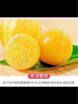东北特产姑娘果精品小果箱装灯笼果洋菇娘果农自产自销灯笼果#优质农产品 #新鲜采摘 #口感特别好 #抖音新农人 #新࿆鲜࿆采࿆摘