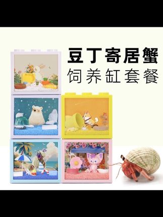 #寄居蟹饲养箱#饲养箱