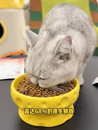 养猫人赶紧冲!!麦富迪新品原生鲜肉粮尝鲜! 13.9到手足足4包!每袋都是100g的大包装,比正装划算多了!#萌宠好物 #新手养猫 #抖in萌宠计划 #养猫经验分享#麦富迪原生鲜肉粮