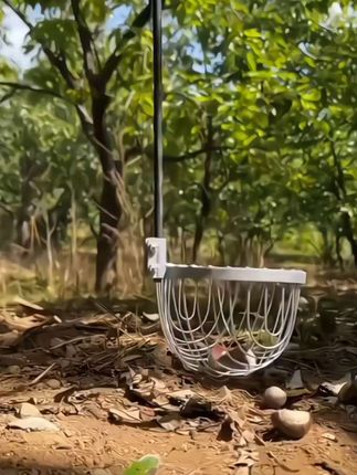 秋天又到了捡栗子的季节,有了这个工具不怕扎手不弯腰还捡的多#栗子 #捡板栗 #好物推荐 #笑对人生好物