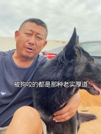 #东德牧羊犬 #德牧#养狗