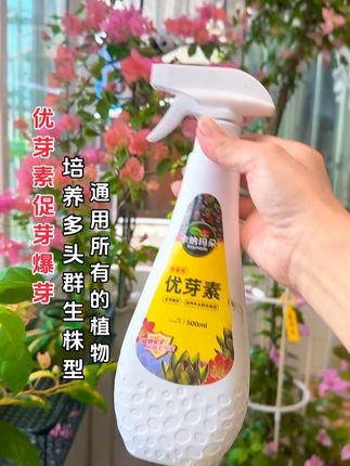 卡纳玛朵优芽素植物通用营养液多肉三角梅促芽催芽爆芽叶插叶面肥#三角梅开花营养液 #优芽素 #爱生活爱养花 #优芽素可以很好的促进芽点分化 #优芽素可以让多肉植物爆更多侧芽