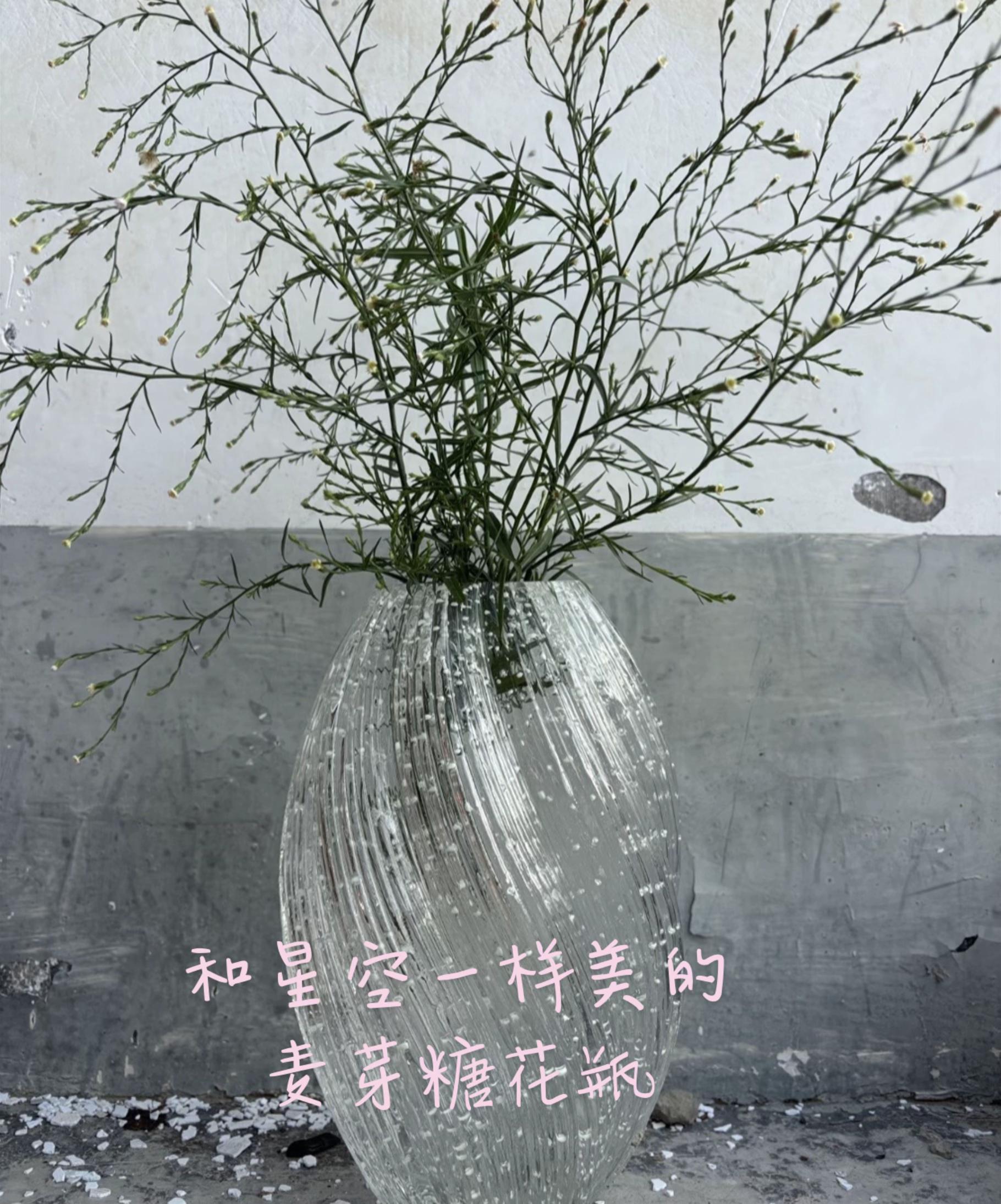 #好物推荐🔥 #麦芽糖花瓶 #夜光花瓶 #花瓶摆件 #生活好物分享 白天是花瓶,晚上是星空🌃