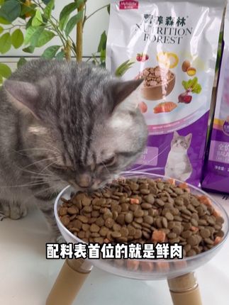 谁在说猫粮越贵越好的我真的要跟你急,你瞅瞅我这个,还给你加这么多冻干#萌宠好物 #铲屎官的乐趣 #萌宠出道计划 #新手养猫