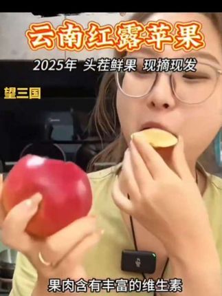 #上热门推荐自家果园每天都是果园现摘现发新鲜包邮到家坏果包赔#真正的水果种植基地 云南昭通冰糖心早熟红露直发下单香脆甜极品果与视频同货!