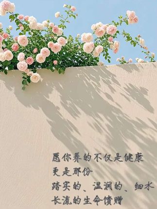 天润竹盐6周年庆典,发个小库存🔥 #养生就是养健康 #大健康大事业 #选择大于努力