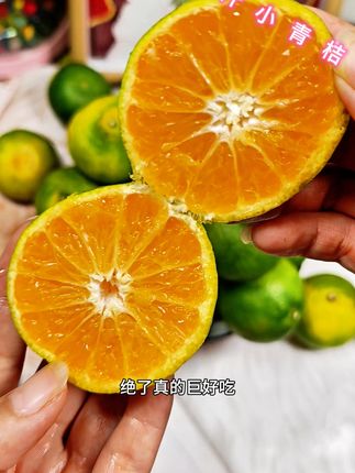 一口爆汁的小青桔真的特别好吃,你别看它特别的轻啊,但是它真的一点都不酸,真的好吃#小青桔#新鲜采摘#优质农产品