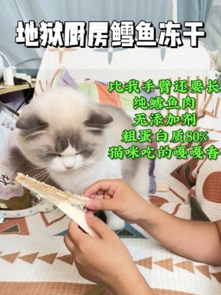 我的小猫也会觉得,它的妈妈打猎超厉害的吧#吃货猫 #新手养宠 #养猫新手 #地狱厨房 #鳕鱼冻干
