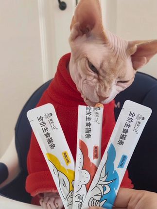 诚实一口,真的太美味啦👍🏻 #萌宠好物 #诚实一口 #吃货猫 #科学养宠攻略 #科学养宠