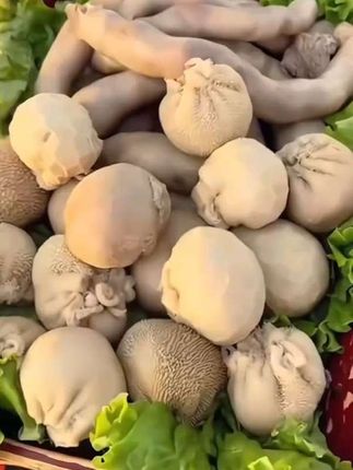 #肚包肉羊肉肠 #草原美食 #妈呀太香了 #超便宜超划算 #大口吃肉的感觉真好